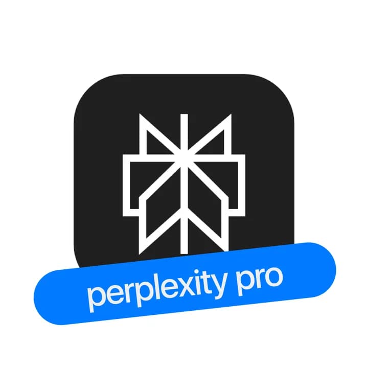 Perplexity